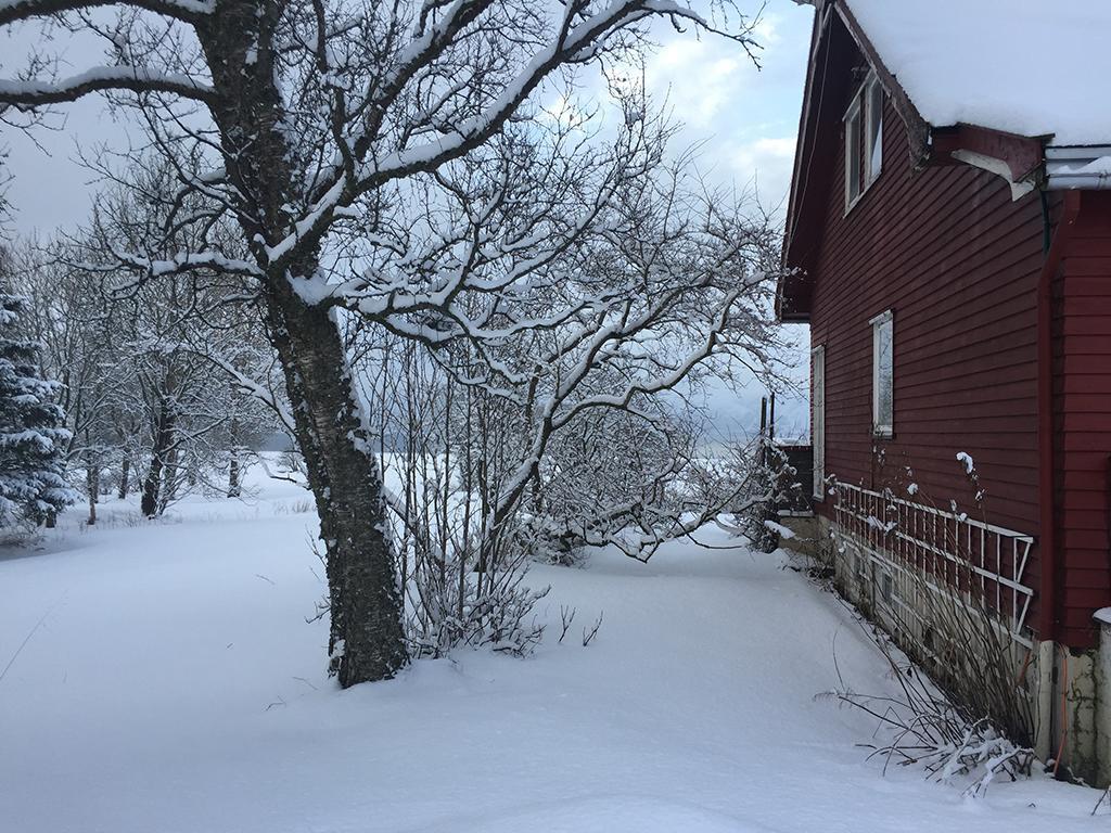 Bo Huset Guest House Сортланд Екстериор снимка